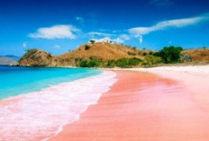 Panduan Lengkap Berlibur ke Pantai Tiga Warna Malang: Alur Reservasi, Aturan Ketat, hingga Tips Kunjungan