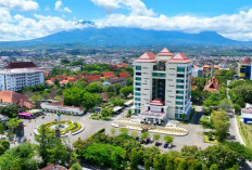 UM Pilih Fokus Riset Gizi Ketimbang Kelola SPPG, Rektor: Kampus Bukan Operator