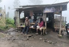 Hangatnya Kuah Bakso dan Kopi di Jalur Dingin Panderman: Kisah Pejuang Rupiah di Kaki Gunung