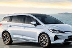BYD M6 DM Tak Cukup Cuma Irit, Kebiasaan Ini Jadi Penentu Biaya Energinya