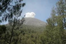 Gunung Semeru Alami 23 Kali Gempa Letusan dalam Enam Jam