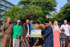 UNISMA Tebar Kurban ke Malang Raya, 22 Sapi dan 33 Kambing Disalurkan untuk Masyarakat