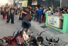 Mengenal Bantengan, Seni Tradisi yang Tak Pernah Sepi Penonton