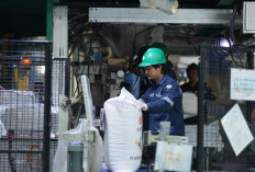 Pupuk Indonesia Tingkatkan Produktivitas Padi Dairi Jadi 12,3 Ton per Hektare, Naik 2 Kali Lipat