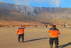 Kebakaran Hutan di Bromo, BB TNBTS Tutup Tiga Jalur Wisata dan Batasi Akses Pengunjung
