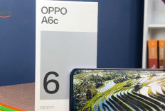 HP Terbaru Juni 2026: 7 Rekomendasi Vivo, OPPO, Infinix hingga Motorola, Harga Mulai Rp1,6 Jutaan