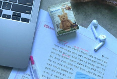 Lolos Beasiswa GKS Korea Selatan Tanpa TOEFL/IELTS, Simak Trik dan Syaratnya