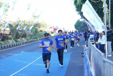 Berlari Sambil Menikmati Pegunungan, UT Malang Fun Run 2026 Digelar di Kota Batu