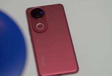 HP Kamera 5 Jutaan Terbaik 2026, Ini 5 Pilihan dengan Hasil Foto Tajam dan Video 4K Stabil