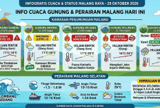 Cuaca Semeru, Bromo, Arjuno hingga Kawi-Butak 29 Oktober, Ini Status Pendakian dan Wisatanya