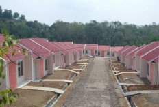 UMK Malang 2026 Naik Rp211.000, Pemkot Pastikan Perusahaan Patuh dan Perkuat Kolaborasi Program 3 Juta Rumah