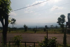 Cuaca Malang Raya 14 April, 20 Kecamatan Cerah dan 12 Kabut/Asap, Jatim Masih Waspada Hujan Sedang-Lebat