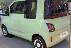 Wuling Alvez EV dan Air EV Dapat Promo Bunga 0 Persen, Gratis Servis hingga 10 Tahun