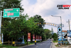 Bukan Sekadar Transit: Menguak Sisi Eksotis Tumpang, Jantung Sejarah dan Alam Malang
