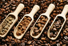 9 Mitos Kopi yang Masih Banyak Dipercaya, Berikut Faktanya!