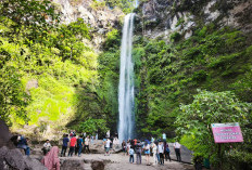 Pesona Coban Rondo di Pujon, Air Terjun Megah yang Dibalut Legenda Cinta Abadi